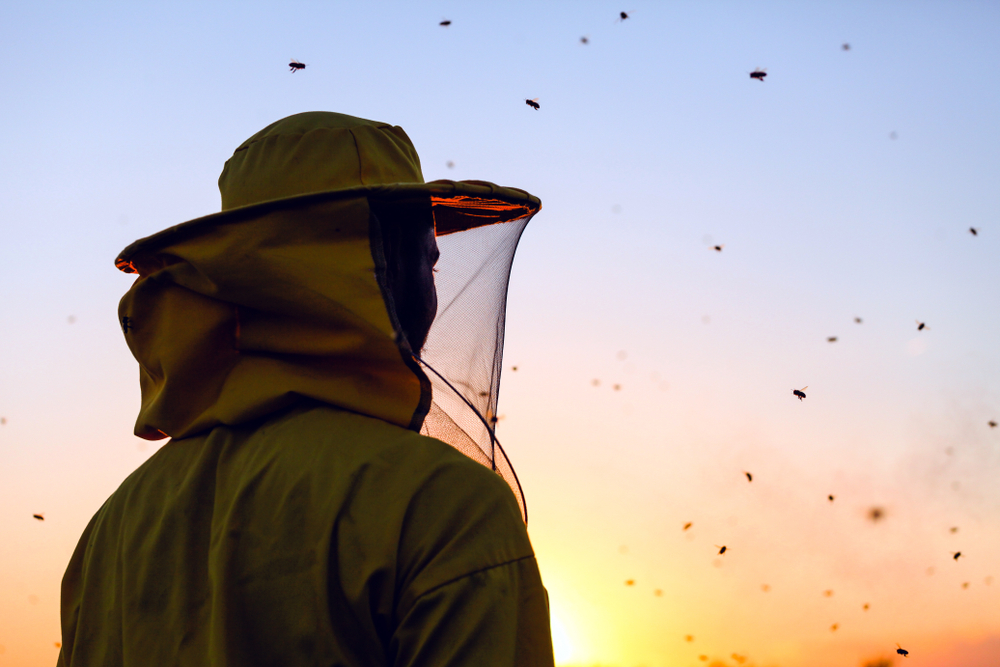 Former Inmates being trained as Beekeepers