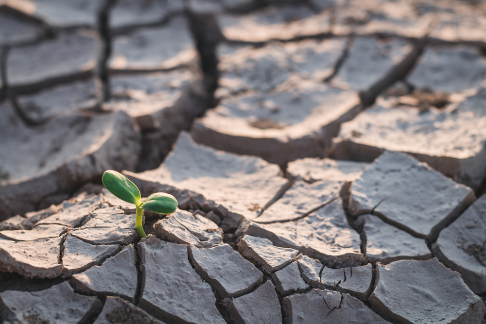 Thousands flee as drought hits many Indian Villages