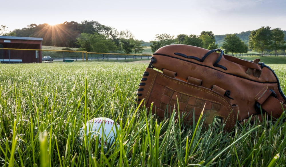 Joliet will soon see Baseball again