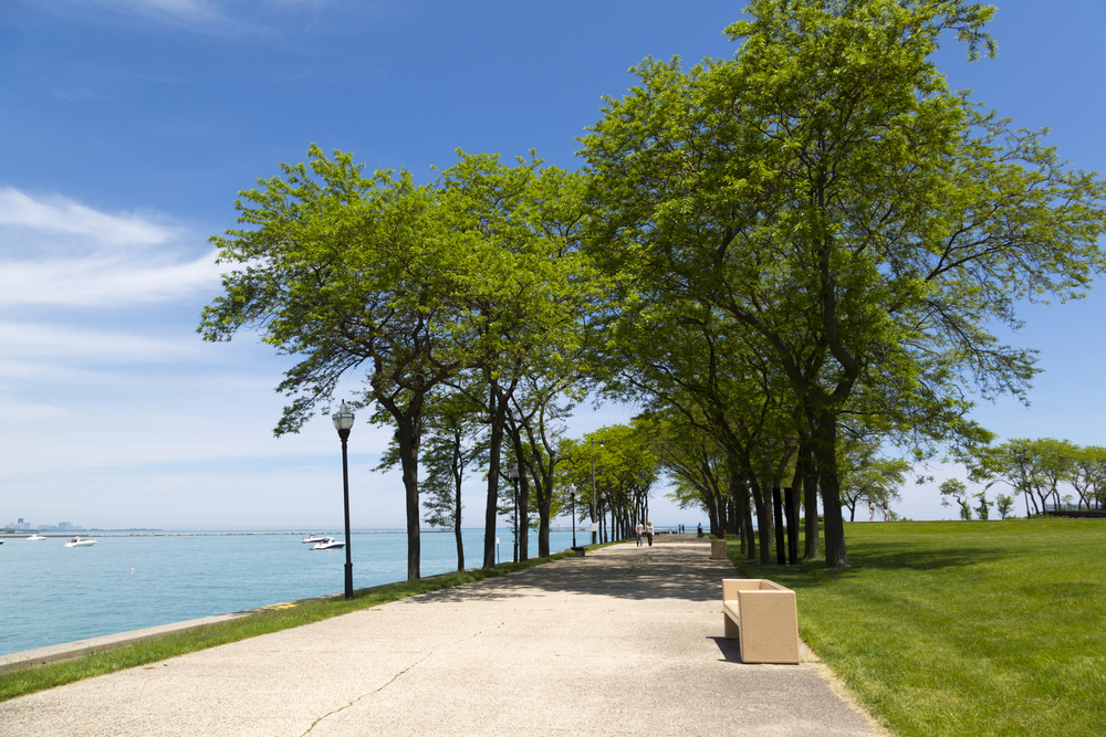 Excessive heat watch continues in Chicago: Weather update