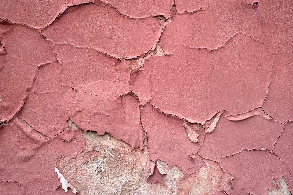 Iconic pink house in Austin neighborhood needs repairing: Family starts fundraising