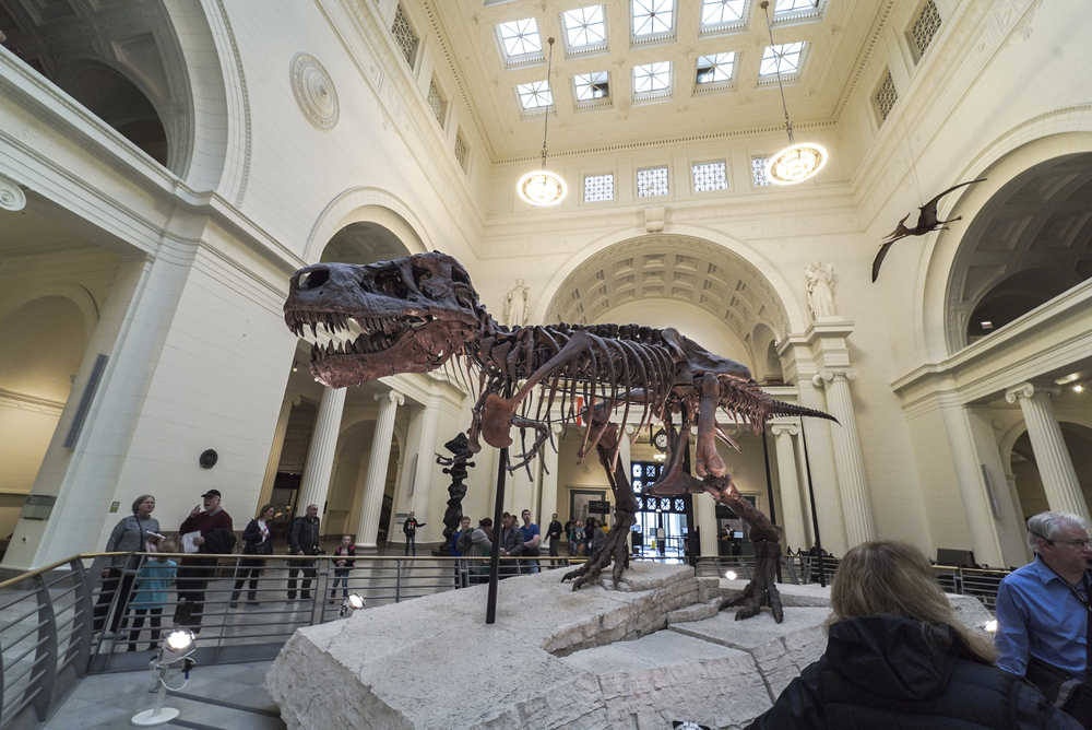 President and CEO of Field Museum announces his retirement in 2020