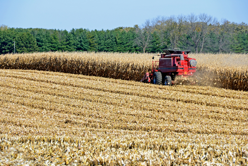 Taiwan signs a deal to buy Illinois corn and soybean of 