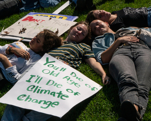 Illinois Youth Climate Strike marchers join environmentalists in a protests