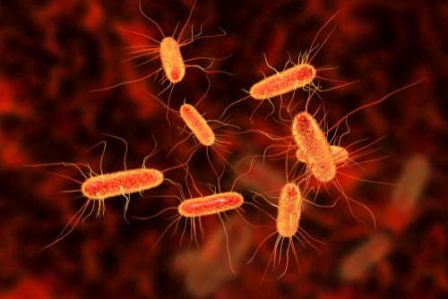 US Center for Disease Control and Prevention investigates E. Coli outbreak in 8 States