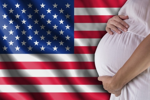 Illinois Supreme Court to hear denied birth leave case