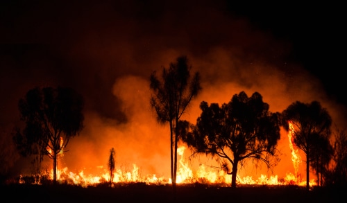 Wildfire started in New South Wales moves towards other Australian states