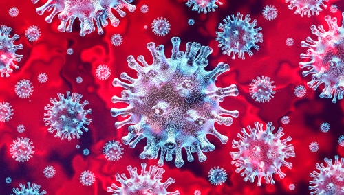 New York State: Coronavirus takes 20,000 lives