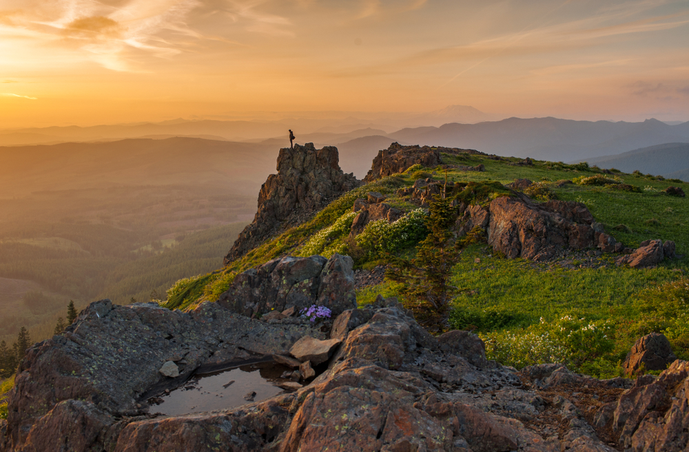  3 of the best national forests in the U.S.