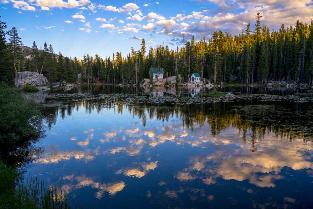  3 of the best national forests in the U.S.