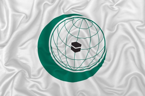 OIC commission condemns new Indian law in Indian occupied Kashmir