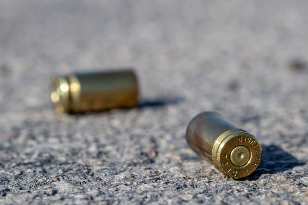  40 Shell Casings Found After Shooting on Nichols Rd in Unincorporated Arlington Heights