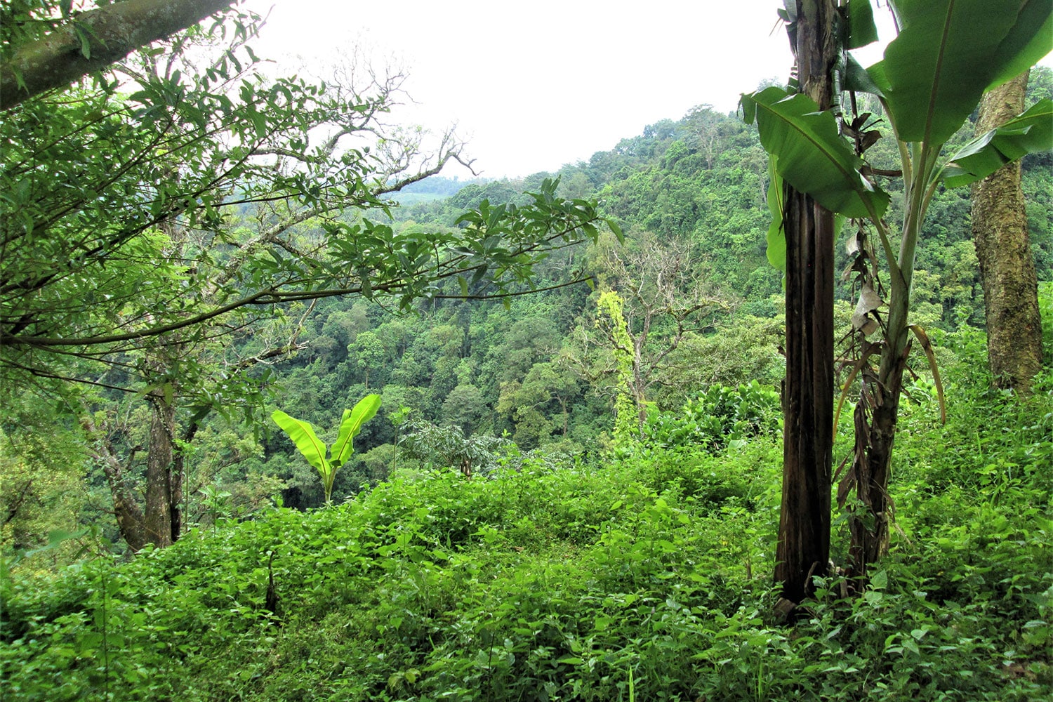 Perilous Passage: The Humanitarian Crisis in the Darien Gap