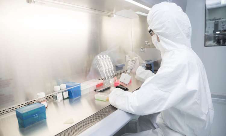 Second Death Reported After Elevidys Gene Therapy; FDA and Sarepta Investigating