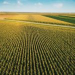 Illinois Political and State News Roundup